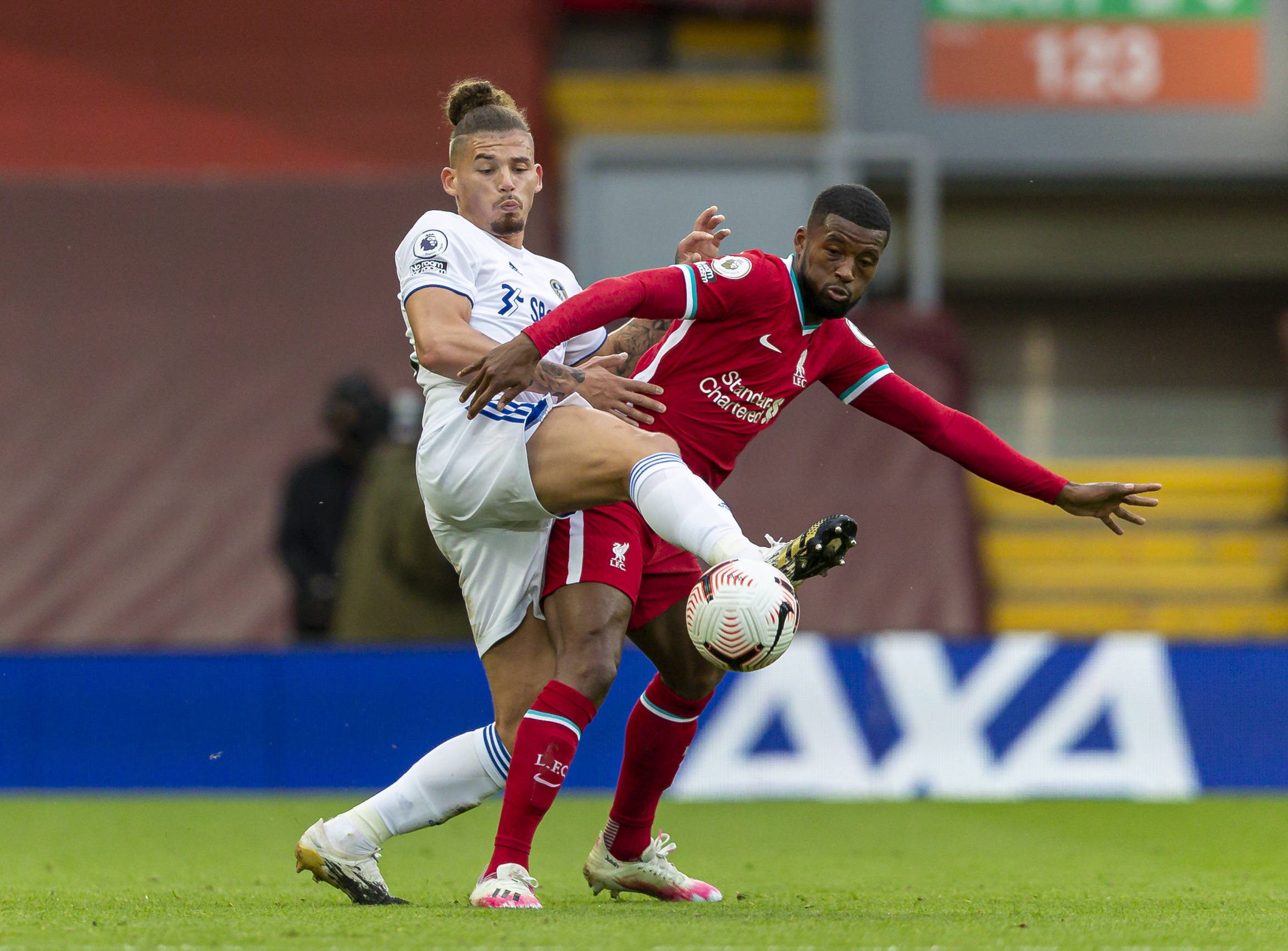 上画下了浓 上画下了浓